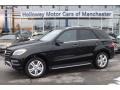 Black - ML 350 4Matic Photo No. 1