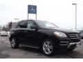 Black - ML 350 4Matic Photo No. 3