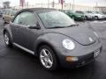 2004 Platinum Grey Metallic Volkswagen New Beetle GLS 1.8T Convertible  photo #5