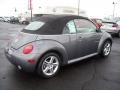 2004 Platinum Grey Metallic Volkswagen New Beetle GLS 1.8T Convertible  photo #11