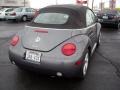 2004 Platinum Grey Metallic Volkswagen New Beetle GLS 1.8T Convertible  photo #13