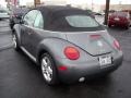 2004 Platinum Grey Metallic Volkswagen New Beetle GLS 1.8T Convertible  photo #15