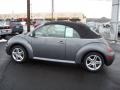 Platinum Grey Metallic - New Beetle GLS 1.8T Convertible Photo No. 18