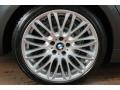 2008 Titanium Grey Metallic BMW 7 Series 750Li Sedan  photo #40