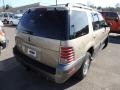 2005 Light French Silk Metallic Mercury Mountaineer V6  photo #14