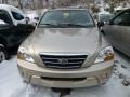 Sand Beige - Sorento LX 4x4 Photo No. 2