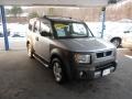 2004 Satin Silver Metallic Honda Element EX AWD  photo #1