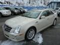 2010 Vanilla Latte Cadillac STS 4 V6 AWD #75312875