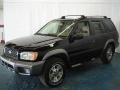 2001 Super Black Nissan Pathfinder SE 4x4  photo #1