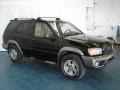 Super Black - Pathfinder SE 4x4 Photo No. 4
