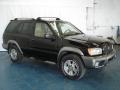 2001 Super Black Nissan Pathfinder SE 4x4  photo #4