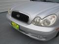 Bright Silver - Sonata GLS V6 Photo No. 10