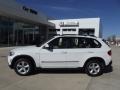 Alpine White - X5 3.0si Photo No. 5