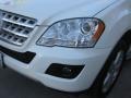 2010 Arctic White Mercedes-Benz ML 350  photo #23