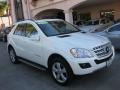 2010 Arctic White Mercedes-Benz ML 350  photo #25