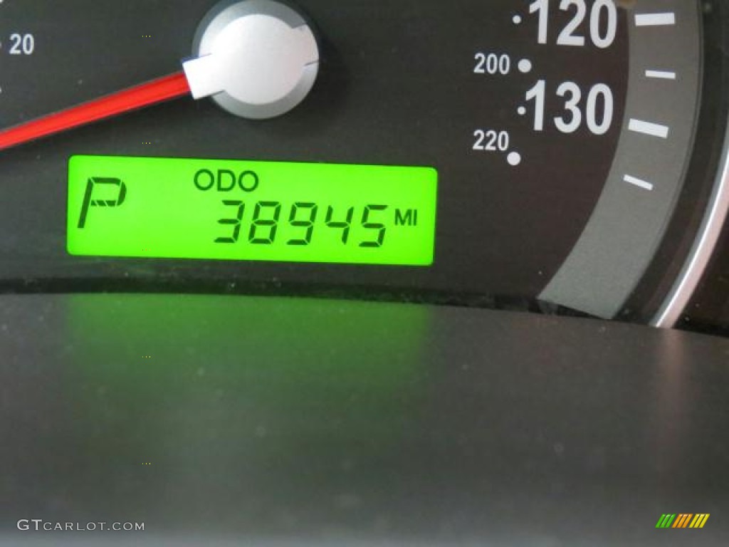 2009 Sedona LX - Clear Silver / Gray photo #11