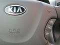 2009 Clear Silver Kia Sedona LX  photo #16