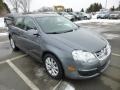 Platinum Grey Metallic - Jetta SE Sedan Photo No. 1