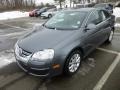 Platinum Grey Metallic - Jetta SE Sedan Photo No. 3