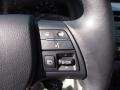2010 Smokey Granite Mica Lexus RX 350  photo #21