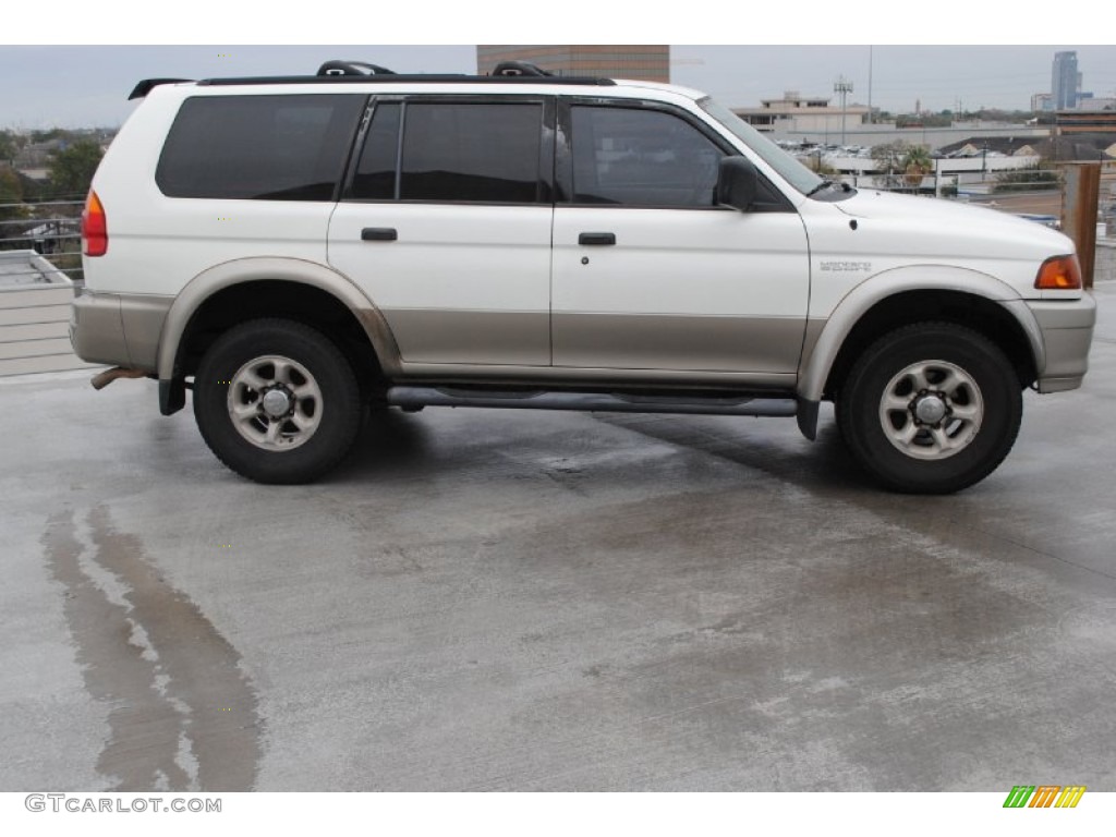 1999 Montero Sport XLS - Alpine White / Tan photo #11
