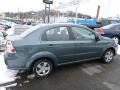 2010 Wintergreen Chevrolet Aveo LT Sedan  photo #12