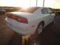 Bright White - Charger SE Photo No. 5