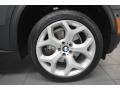 Platinum Gray Metallic - X5 xDrive35d Photo No. 10