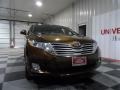 2012 Sunset Bronze Mica Toyota Venza XLE  photo #2