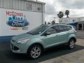 2013 Frosted Glass Metallic Ford Escape SE 1.6L EcoBoost  photo #1