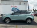 2013 Frosted Glass Metallic Ford Escape SE 1.6L EcoBoost  photo #2