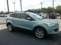 2013 Frosted Glass Metallic Ford Escape SE 1.6L EcoBoost  photo #68