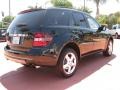 Black - ML 350 4Matic Photo No. 5