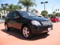 Black - ML 350 4Matic Photo No. 7