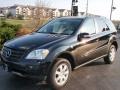Black - ML 350 4Matic Photo No. 1