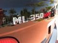 Black - ML 350 4Matic Photo No. 13