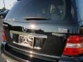 Black - ML 350 4Matic Photo No. 16