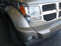 Light Khaki Metallic - Nitro SLT 4x4 Photo No. 5