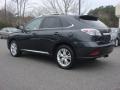 2010 Smokey Granite Mica Lexus RX 450h AWD Hybrid  photo #4