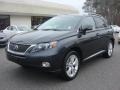 2010 Smokey Granite Mica Lexus RX 450h AWD Hybrid  photo #6