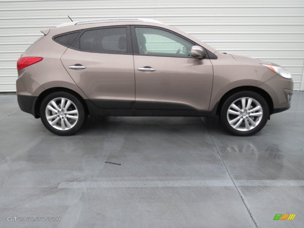 Chai Bronze 2011 Hyundai Tucson Limited Exterior Photo #75371420