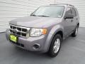 2008 Tungsten Grey Metallic Ford Escape XLS  photo #6