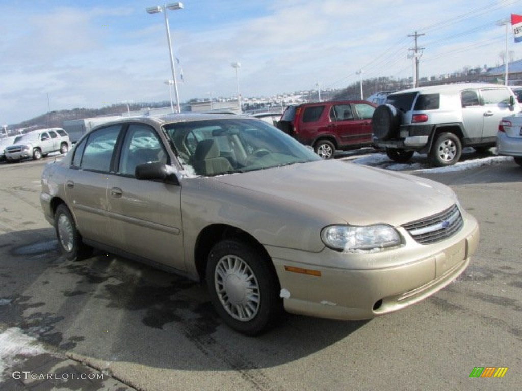 2004 Classic  - Light Driftwood Metallic / Beige photo #7