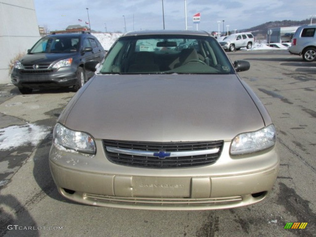 2004 Classic  - Light Driftwood Metallic / Beige photo #8