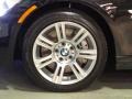 2013 Black Sapphire Metallic BMW 3 Series 335i xDrive Coupe  photo #30