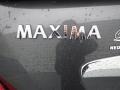 2010 Dark Slate Nissan Maxima 3.5 SV Premium  photo #17