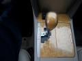 Desert Sand Mica - Camry XLE V6 Photo No. 27