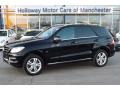 Black - ML 350 4Matic Photo No. 1