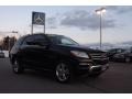 Black - ML 350 4Matic Photo No. 3