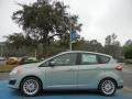Ice Storm 2013 Ford C-Max Hybrid SE Exterior